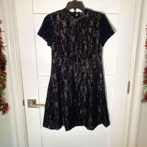NEW Cynthia Steffe Velvet Holiday Dress (6)